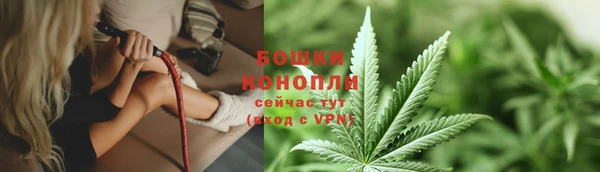 сатива Волосово