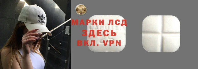 сатива Волосово