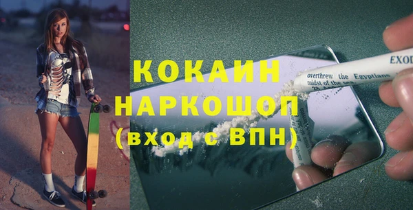 тгк Вяземский