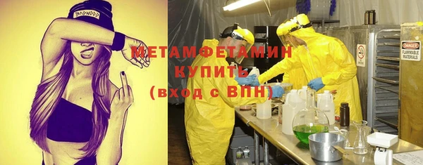 сатива Волосово