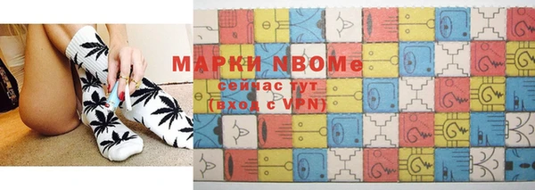 сатива Волосово