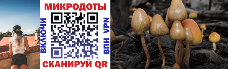 Галлюциногенные грибы MAGIC MUSHROOMS  Купить закладки  Хилок 